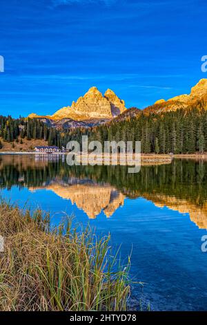 The rock formation Tre Cime di Lavaredo, seen over Lake Misurina, surrounded by colorful larches and pine trees at sunset in autumn. Stock Photo