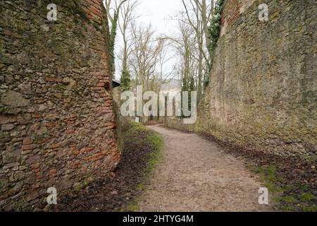 Donaustauf castle ruins on the Danube near Regensburg photographed in January Stock Photo