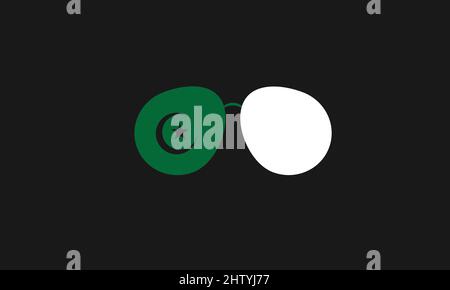 Pakistan color Sunglasses vector logo Stock Vector
