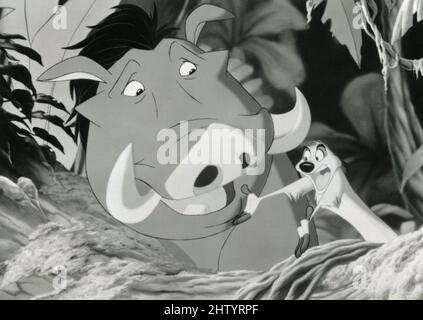 Timon Film: The Lion King (USA 1994) Director: Roger Allers & Rob ...