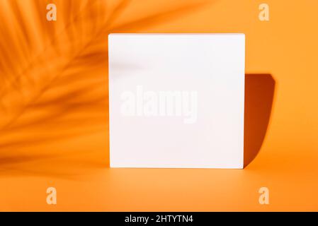 Empty square composition with tropical palm tree shadow background. Orange thanksgiving minimal flat lay frame poster. Abstract trendy geometric mocku Stock Photo