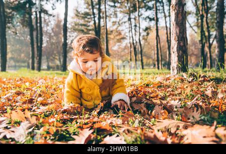 Happy little baby girl in yellow jacket outdoor crawling and playing with autumn leaves. Child having fun in fall season. Smiling cute toddler explori