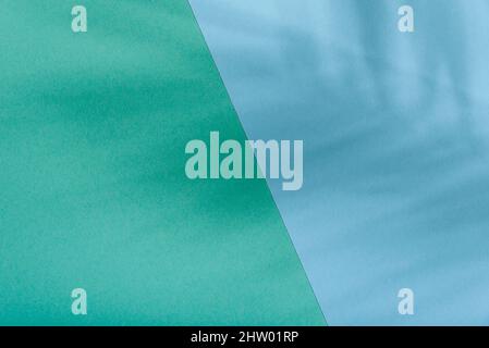 Green and blue color background with tropical palm shadow. Pastel mint paper and exotic plant shade layout. Minimal flat lay with leaf silhouette over Stock Photo