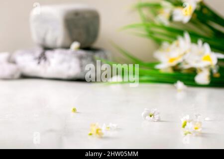 White marble table with small white flowers Kalanchoe, spring daffodils bouquet and textured stones behind. Creative layout, background for presentati Stock Photo