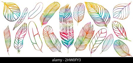 set of different feathers handwritten in color Stock Photo