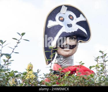 Fun pirate mannikin, mannequin behind hedge. Stock Photo