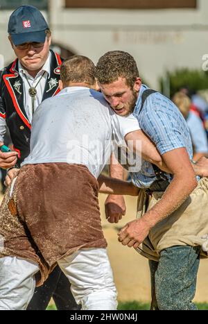Swiss wrestlers fighting at the NOS 2012 in Silvaplana, Switzerland Stock Photo
