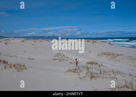 Cape Nature Walker Bay beach near Hermanus Western Cape South Africa. white beach and blue sky with clouds, sand dunes at the beach in South Africa Stock Photo