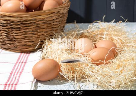 Fresh chicken eggs in the nest, close up. Lifestyle on a chicken farm in the village, fresh eggs from the farm Stock Photo