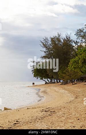 People walking on Flic en Flac beach in Mauritius. Filao and palm trees grow on the beach with is lapped by the water of the Indian Ocean. Stock Photo