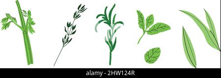 Set of greenery illustrations Stock Vector