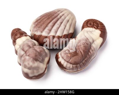 Chocolate sweets shaped as seashells isolated on white background Stock Photo