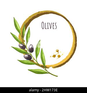 Template for label, banner, postcard, vector watercolor, branch of olives with a round spot, place for an inscription,. Vector illustration Stock Vector