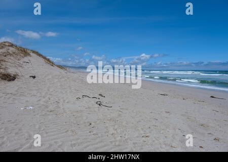 Cape Nature Walker Bay beach near Hermanus Western Cape South Africa. white beach and blue sky with clouds, sand dunes at the beach in South Africa Stock Photo