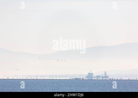 Greece, Macedonia, Thessaloniki, Axios Delta National Park, National Park of Greece, established in 2008, being one of the largest protected wetlands in Europe. It is home to many species of birds Stock Photo