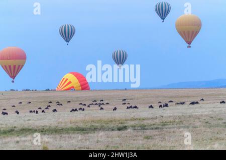 Kenya, Masai Mara National Reserve, National Park, balloons, hot air balloons which rise above the great plains Stock Photo