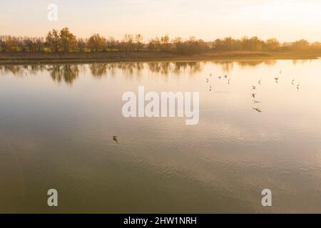France, Ain, la Dombes region, Lapeyrouse and its ponds, Natura 2000 site Stock Photo