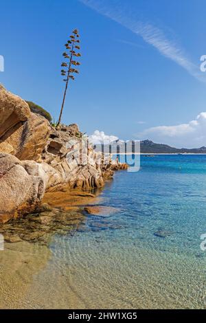 France, Corse du Sud, Domaine de Murtoli, the creek, the rock of Roccapina in the background Stock Photo