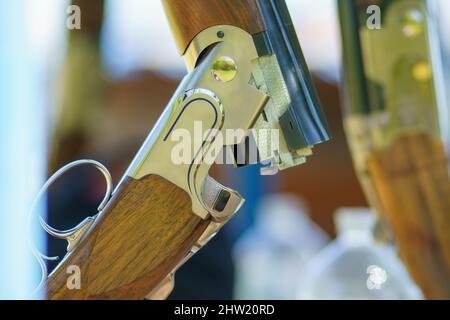 Close-up of an open, unloaded double-barreled shotgun at a sports shooting range. Blurred background. Stock Photo
