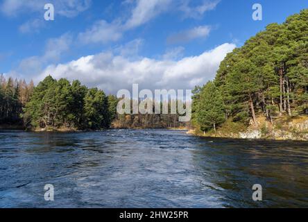 RIVER SPEY TAMDHU SCOTLAND HIGH WATER LEVEL IN THE RIVER IN SPRING Stock Photo