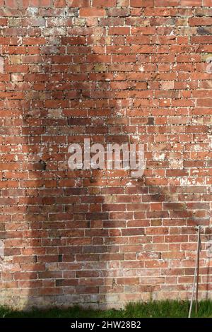 close up of a black shadow of a woman on a red old brick wall , on a sunny day in spring Stock Photo