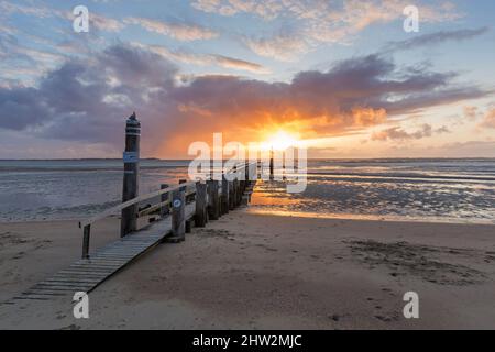 Wooden jetty / pier at low tide / ebb in Utersum at sunset on the island of Föhr in the district of Nordfriesland, Schleswig-Holstein, Germany