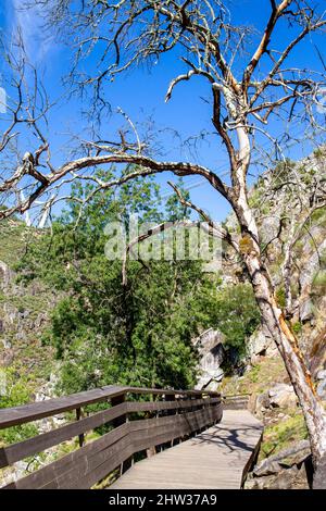 The “Passadiços do Paiva Trailhead Areinho” in Arouca Geopark, on river Paiva, near Porto, Portugal, elected as the most innovative tourism project in Stock Photo