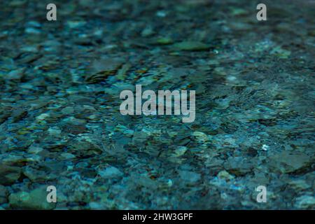 abstract blurred background - surface of a transparent clean blue water with circles from drops Stock Photo