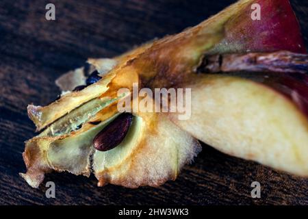 closeup of eaten apple core on wooden table Stock Photo