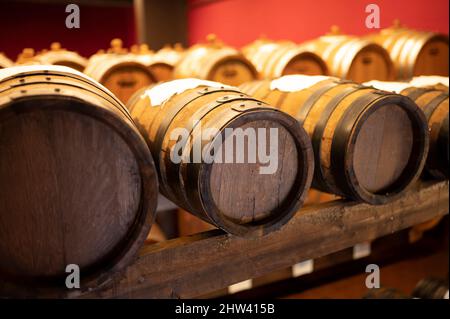 Traditional production and aging in wooden barrels of black Italian Balsamic wine IGP and DOC vinegar dressing in Modena, Italy Stock Photo