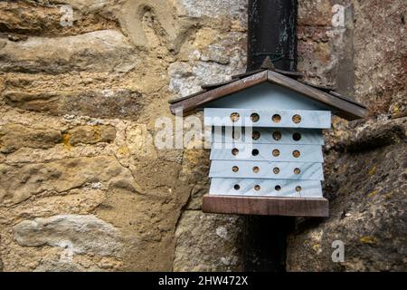 Small bug hotel known as a wildlife hotel or stack, house like construction made to help various insects to survive winter and free to leave in spring Stock Photo