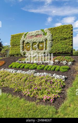 Mound with City of Terrebonne logo flower display planted with pink and purple Petunias, Lantana - Shrub Verbena, Senecio cineraria ' Silver Dust'. Stock Photo