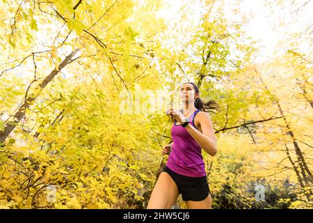 Woman jogging in an autumn forest in Arboretum, Seattle Stock Photo - Alamy