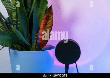 Sunset projector lamp close up. Multi colored RGB light. Home decor. Copy space Stock Photo