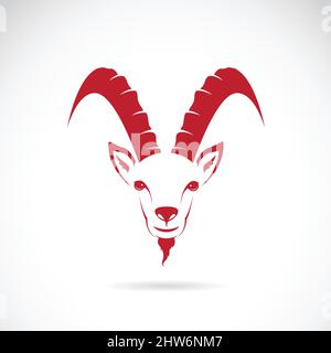 Vector image of goat (chamois) on white background. Easy editable layered vector illustration. Stock Vector