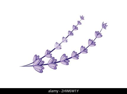 Lavender flower design illustration vector eps format , suitable for your design needs, logo, illustration, animation, etc. Stock Vector