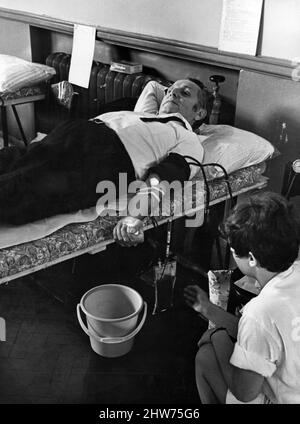 Mr Leo Abse, MP, giving a pint of blood at the South Wales Branch of the Medical Aid for Vietnam's first blood donation session held at Transport Hall, Charles Street, Cardiff. 5th October 1968. Stock Photo