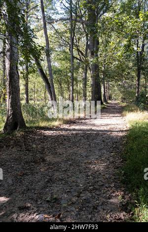 Virginia. Great Falls Park. Patowmack Canal Trail. Stock Photo