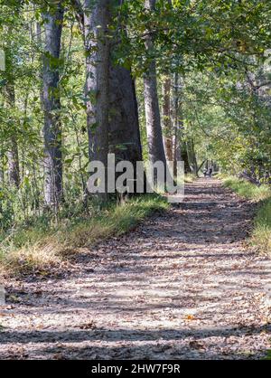 Virginia. Great Falls Park. Patowmack Canal Trail. Stock Photo