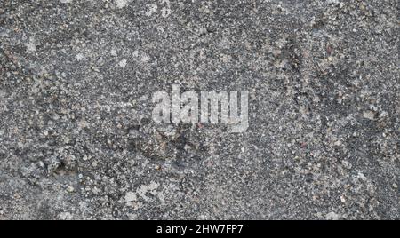 High resolution stone and concrete surfaces, background Rustic texture background with cement effect in gray color. Stock Photo