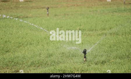 Water sprayer Water is sprayed. On blurred backgrounds Stock Photo