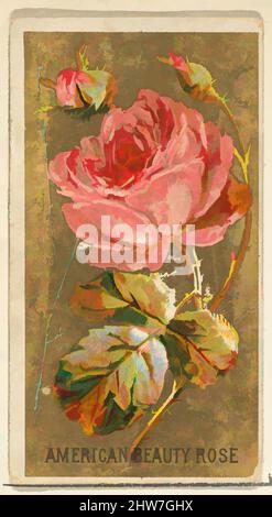 3 roses cigarettes American Beauty Rose, from the Flowers series for Old Judge Cigarettes.  Dimensions: Sheet: 2 3/4 x 1 1/2 in. (7 x 3.8 cm). Printer: George S.  Harris & Sons (American, Philadelphia). Publisher: