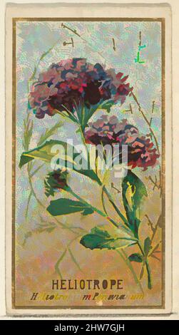 Art inspired by Heliotrope (Heliotropium Peruvianum), from the Flowers series for Old Judge Cigarettes, 1890, Commercial color lithograph, sheet: 2 3/4 x 1 1/2 in. (7 x 3.8 cm), The 'Flowers' series of trading cards (N164) was issued by Goodwin & Company in 1890 to promote Old Judge, Classic works modernized by Artotop with a splash of modernity. Shapes, color and value, eye-catching visual impact on art. Emotions through freedom of artworks in a contemporary way. A timeless message pursuing a wildly creative new direction. Artists turning to the digital medium and creating the Artotop NFT Stock Photo