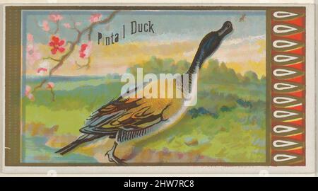 Art inspired by Pintail Duck, from the Game Birds series (N13) for Allen & Ginter Cigarettes Brands, 1889, Commercial color lithograph, Sheet: 1 1/2 x 2 3/4 in. (3.8 x 7 cm), Trade cards from the 'Game Birds' series (N13), issued in 1889 in a set of 50 cards to promote Allen & Ginter, Classic works modernized by Artotop with a splash of modernity. Shapes, color and value, eye-catching visual impact on art. Emotions through freedom of artworks in a contemporary way. A timeless message pursuing a wildly creative new direction. Artists turning to the digital medium and creating the Artotop NFT Stock Photo