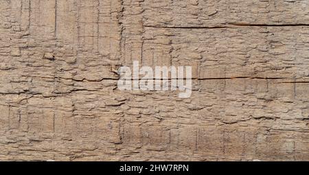 Close up plank wood table floor with natural pattern texture. Empty wooden board background. Stock Photo