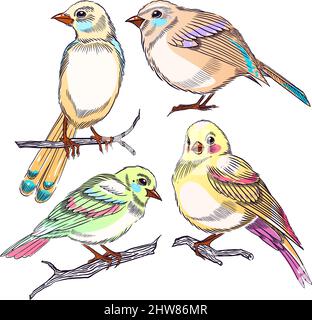 cute set of different colorful birds. hand-drawn illustration Stock Vector