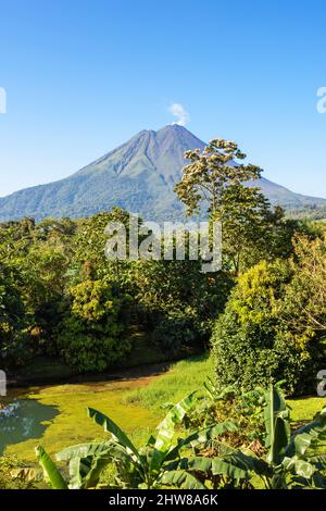 Gas and water vapour rise from Arenal volcano on a cloudless day with a clear blue sky. La Fortuna, San Carlos, Alajuela Province, Costa Rica ... more Stock Photo