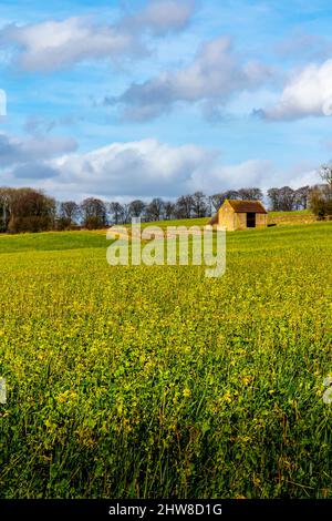 Field barn in typical Cotswolds landscape at Bredon Hill near Tewkesbury in the Gloucestershire England UK Stock Photo