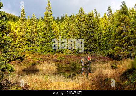 Mother and son standing on wooden bridge at small pond on trail in the "Misterios Negros" in the volcanic area of Terceira Island, Açores Portugal Stock Photo