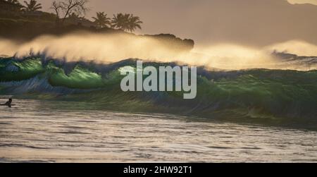 Big waves with white mist and sunset on the back Stock Photo